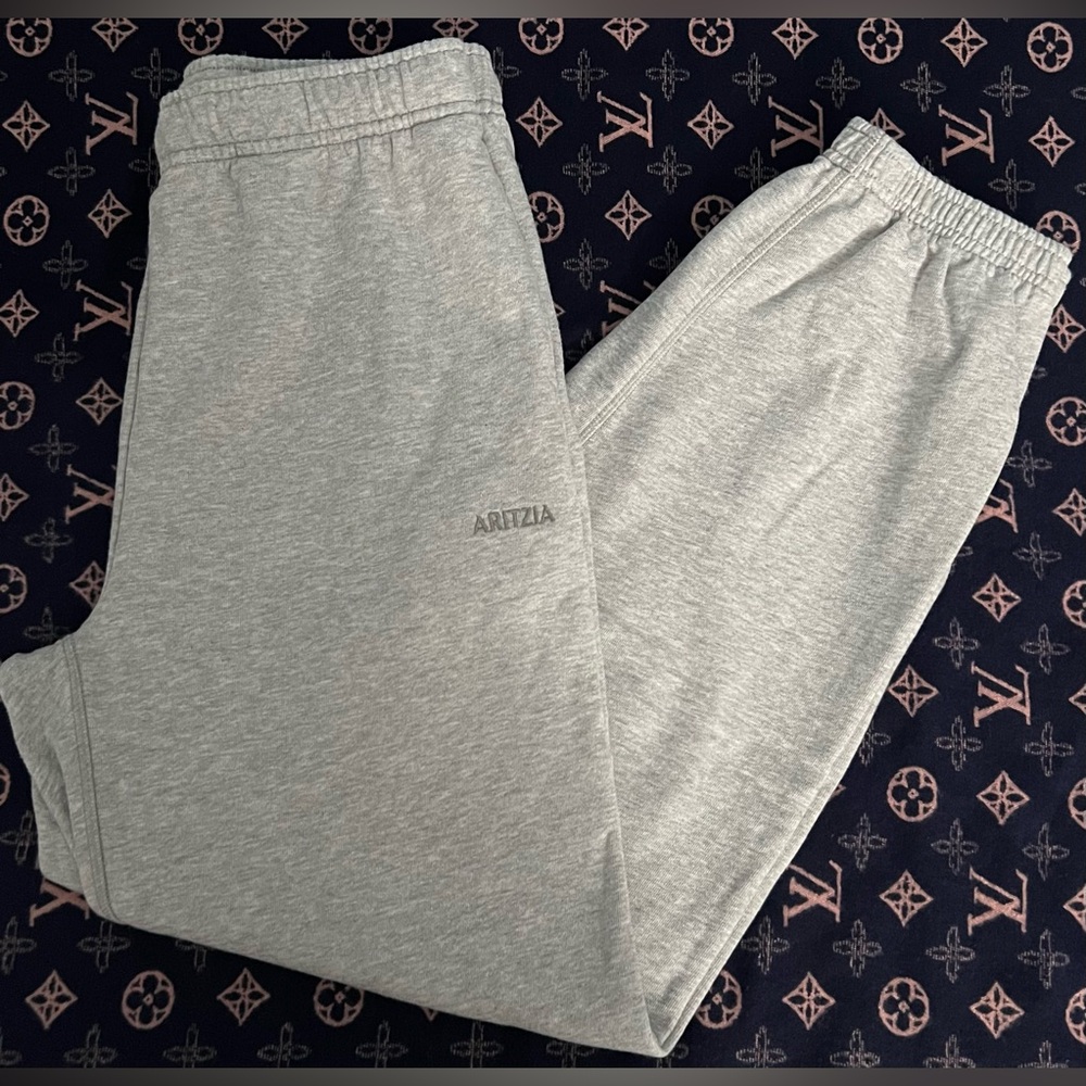 Aritzia Terry Sweatfleece Mega Jogger